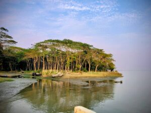 স্থানীয় পর্যায়ে সৌরবিদ্যুতের ব্যবহার বাড়ানোর সুযোগ