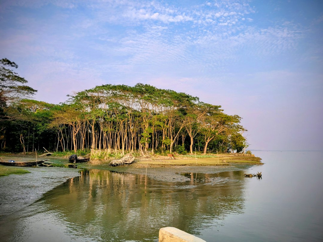 স্থানীয় পর্যায়ে সৌরবিদ্যুতের ব্যবহার বাড়ানোর সুযোগ