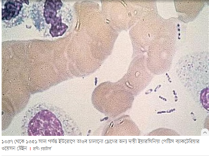 রাশিয়ায় প্লেগ আতঙ্ক!